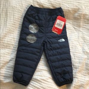 THE NORTH FACE REVERSED WINTER PANTS
